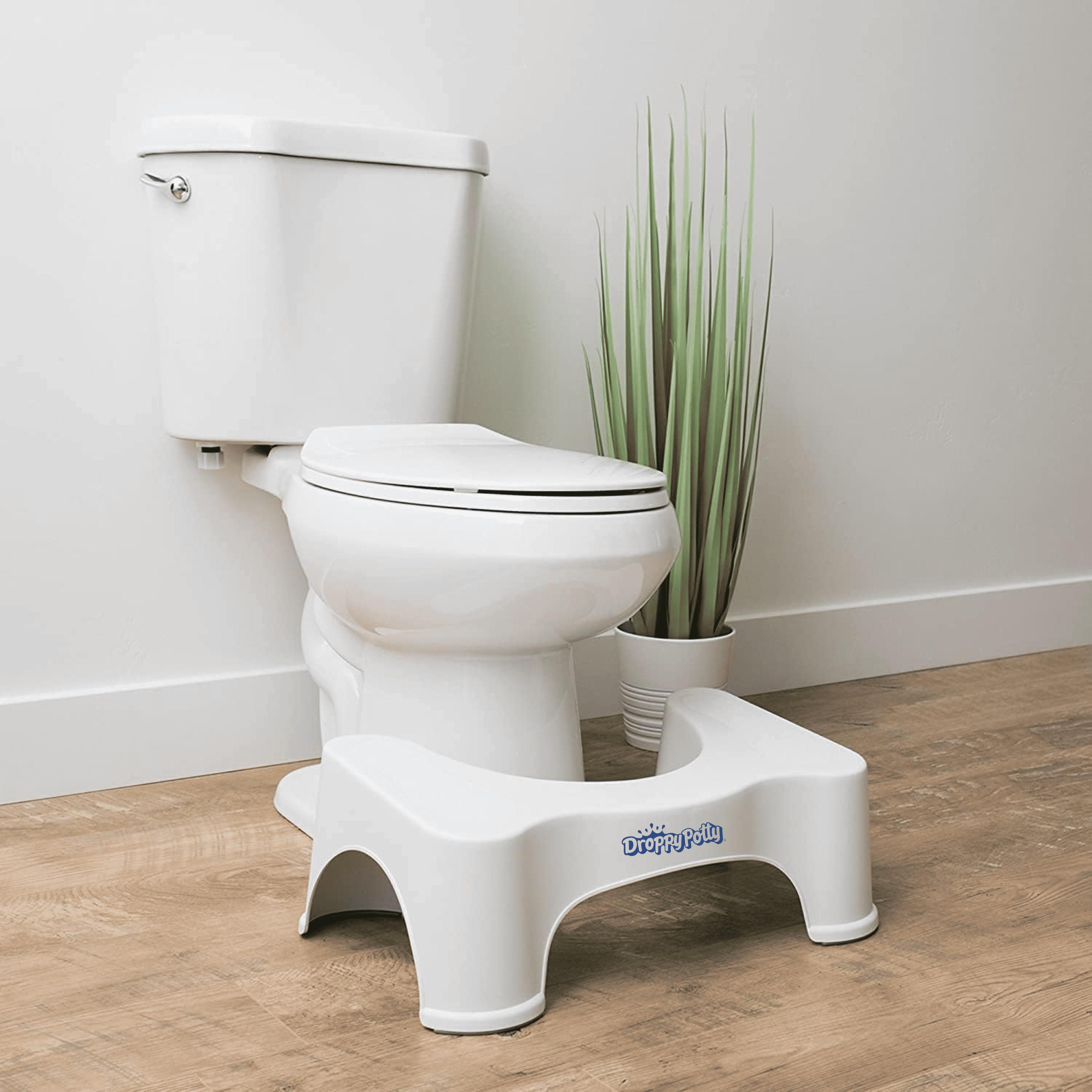 Toilet Posture Stool - DROPPY-POTTY
